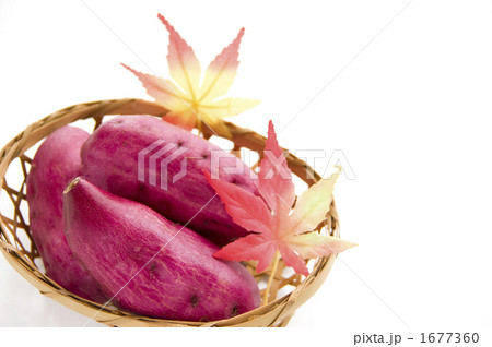 さつまいも さつまいも 1677360