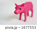 ピンクの豚 1677553