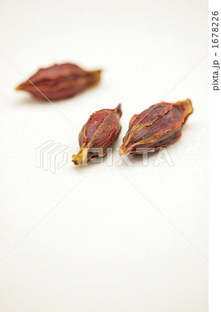 くちなし くちなし 1678226