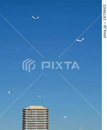 鳥型カイト 1679665