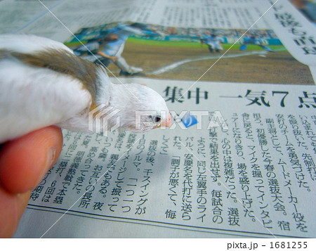 いっしょに新聞を読む 1681255