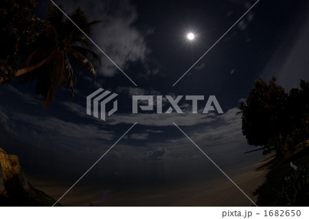 南国の夜空 南国の夜空 1682650