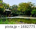 日本庭園の風景 1682775