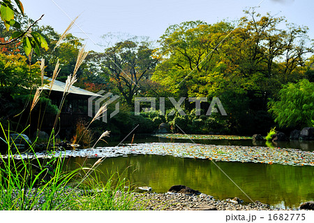日本庭園の風景 1682775