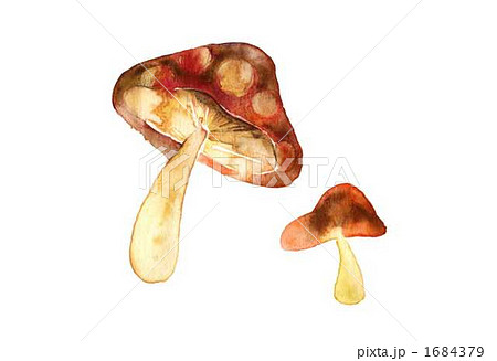 きのこ 1684379
