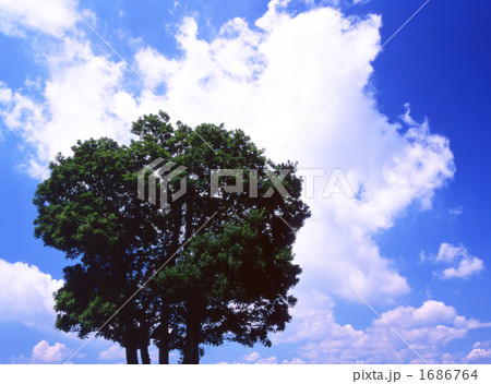 夏空 夏空 1686764