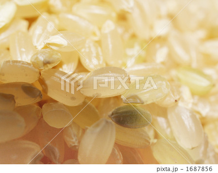 玄米01 玄米01 1687856