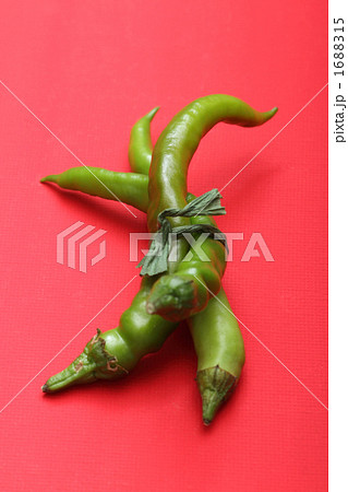 青唐辛子 1688315