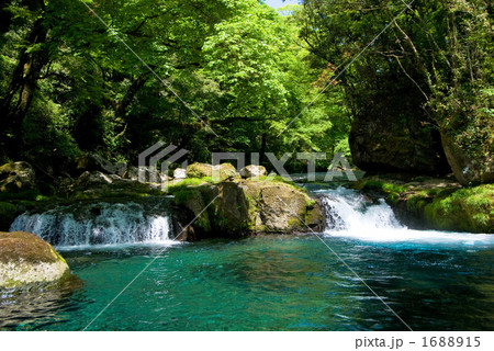 新緑の菊池渓谷の沢 1688915