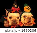 わんわんハロウィンパーティー02 1690206
