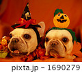 わんわんハロウィンパーティー13 1690279