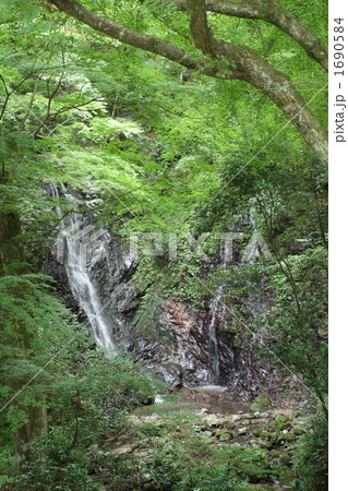 玉簾の滝 玉簾の滝 1690584
