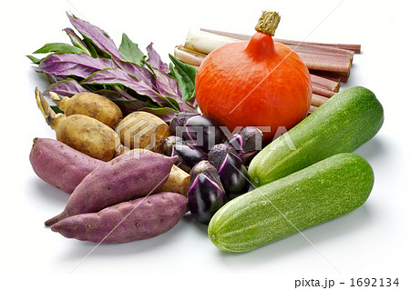 加賀野菜 1692134