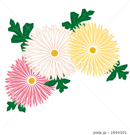 花 キク 菊のイラスト素材 1694301 Pixta