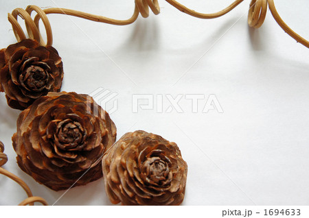 シーダローズ シーダローズ 1694633