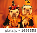 わんわんハロウィンパーティー15 1695358