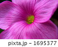 1695377