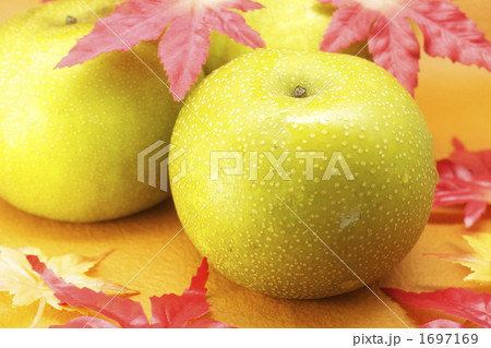 秋の梨と紅葉 秋の梨と紅葉 1697169