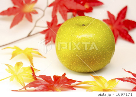 秋の梨と紅葉 白バック 秋の梨と紅葉 白バック 1697171
