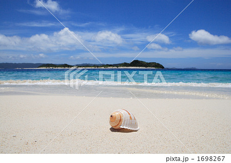 砂浜と貝殻 1698267