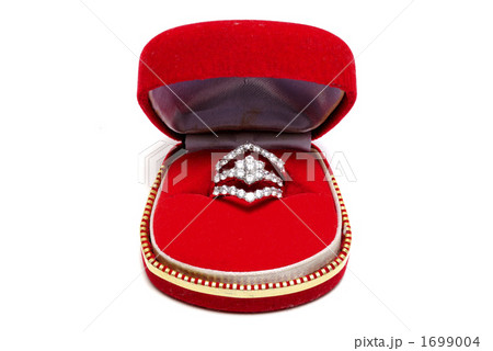 アクセサリー 1699004