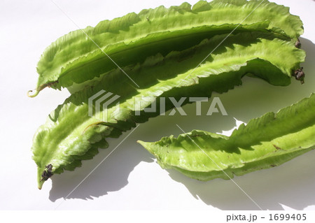 しかくまめ しかくまめ 1699405