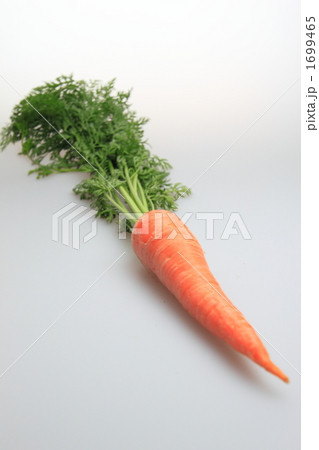 人参 人参 1699465