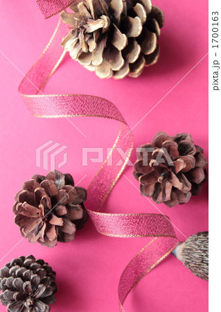 まつぼっくりとリボン まつぼっくりとリボン 1700163