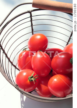 プラム型トマト プラム型トマト 1700180