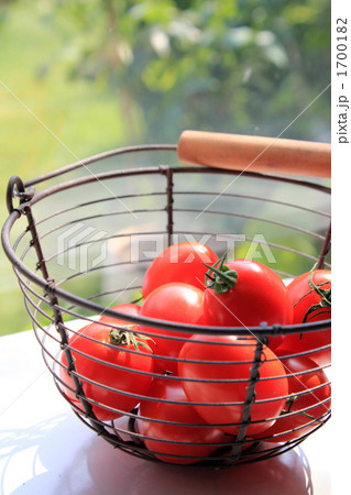 プラム型トマト 1700182