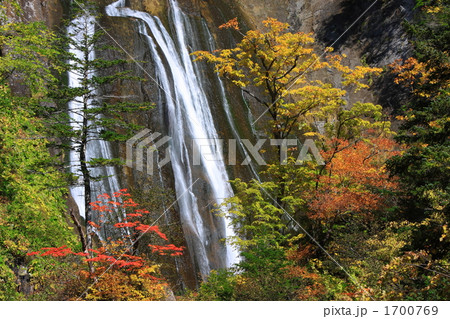 黄葉と滝 1700769