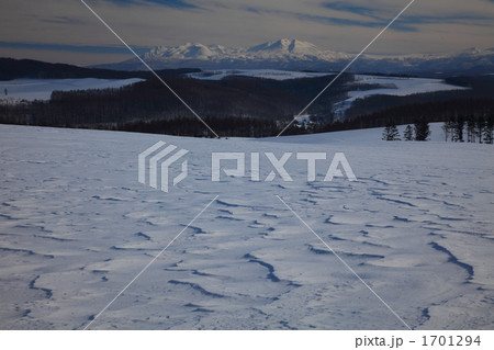 丘の風紋と大雪山 丘の風紋と大雪山 1701294