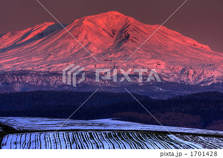 積雪の畑と旭岳 1701428