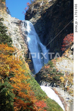 日本一の落差を誇る称名滝の紅葉 1701466