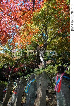 紅葉に包まれる五百羅漢 1701468