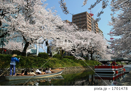 満開の桜の中を行く遊覧船 満開の桜の中を行く遊覧船 1701478
