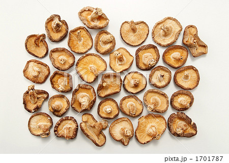 干し椎茸 1701787