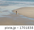 カリフォルニア　サンタモニカ　子供　海岸　ロサンゼルス 1701838