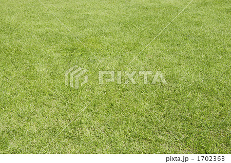 芝生 芝生 1702363