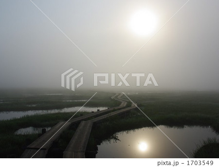 湿原の朝霧と太陽 1703549