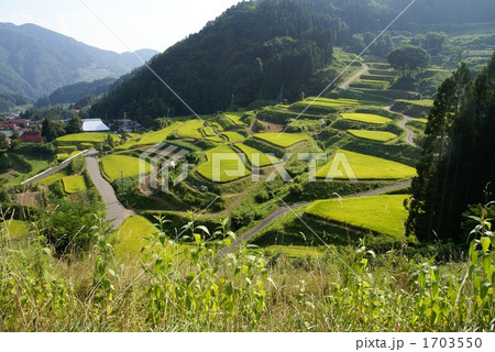 信州山村の棚田 1703550