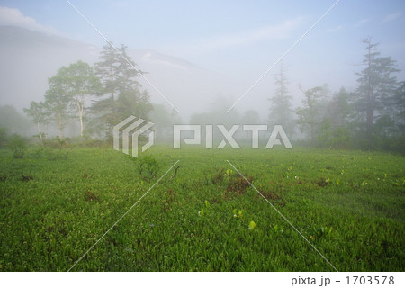 尾瀬ヶ原湿原の朝霧 1703578