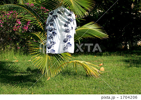 風に揺らぐアロハシャツ 1704206