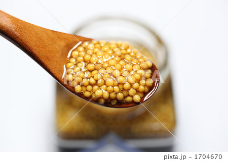 マスタード 1704670