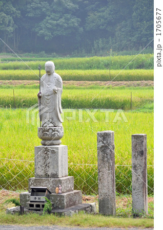 【四国八十八ヶ所】第六十七番　大興寺門前　路傍の石仏と黄金色の稲穂　香川県三豊市 1705677