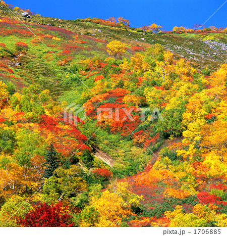 紅葉する銀泉台 1706885