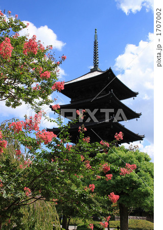 東寺 東寺 1707002