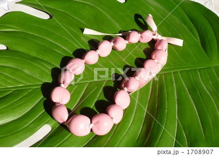 ククイの首飾り 1708907