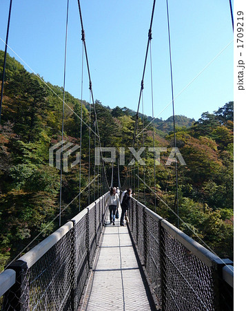 伊東・門脇吊橋 伊東・門脇吊橋 1709219