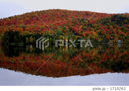 カナダ　ローレンシャン高原の紅葉 1710262